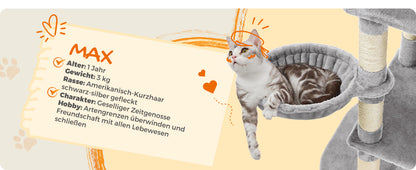 Feandrea Kratzbaum 206 cm hoch