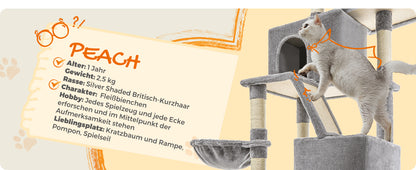 Feandrea Kratzbaum 206 cm hoch