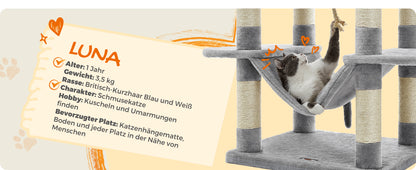 Feandrea Kratzbaum 206 cm hoch